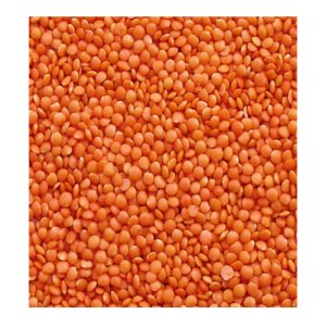 Masoor Dal -Red Lentil-