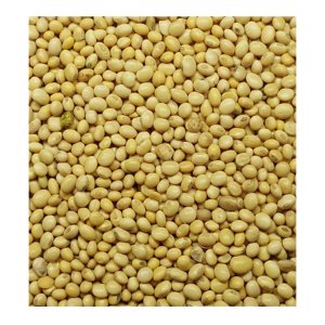 Soybean -Bhatma-