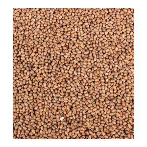 Turkish Gram -Matki-