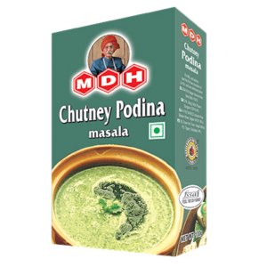 Chutney Podina Masala